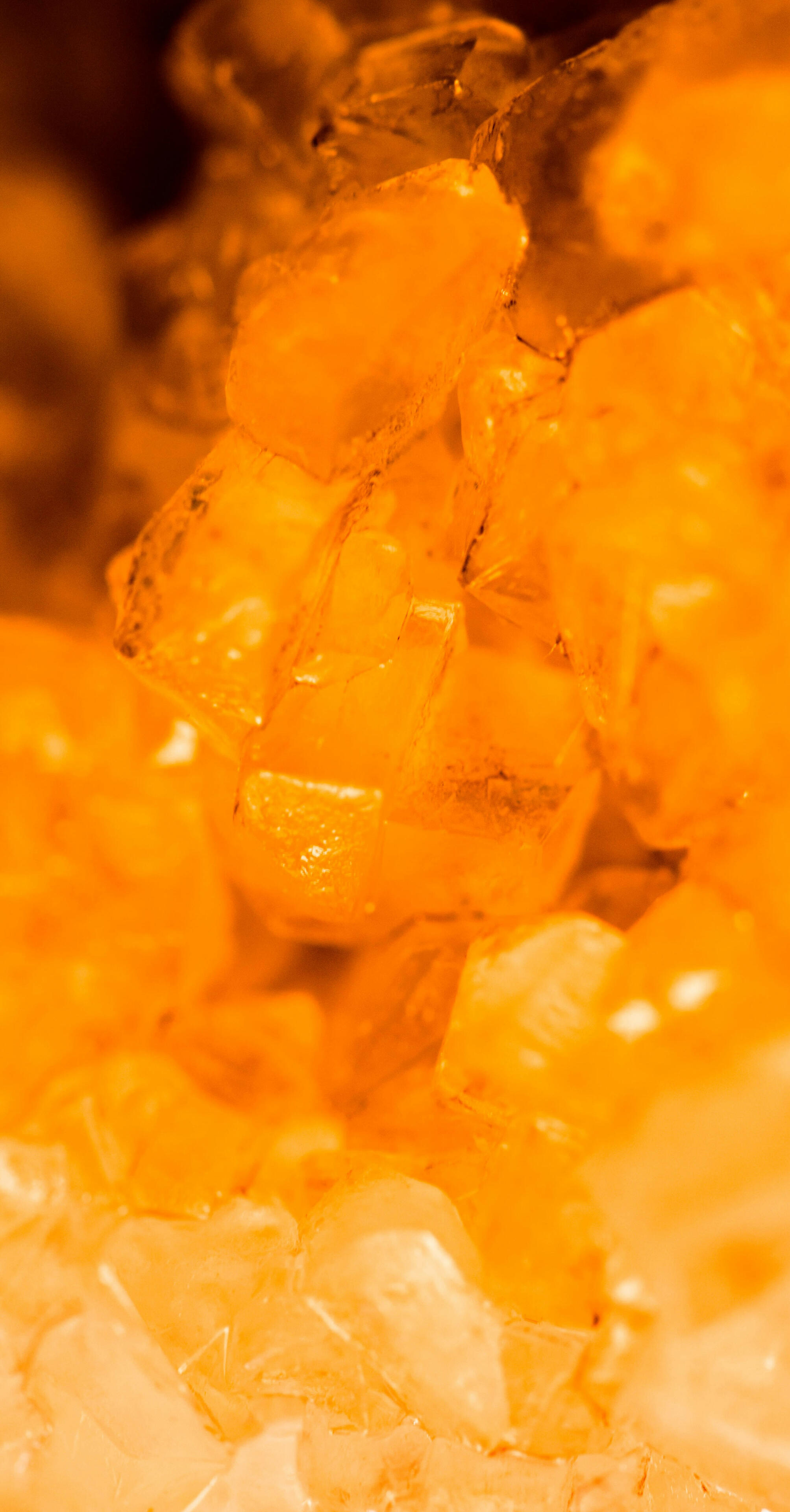 Molly Toomey counselor mental health psychological counseling Jena Germany online Molly Toomey counselor mental health psychological counseling Jena Germany online